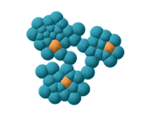 defensive and nutritive cells organized in clusters